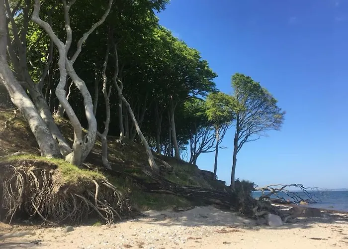 Alojamento de Acomodação e Pequeno-almoço Aebelo-guidens *